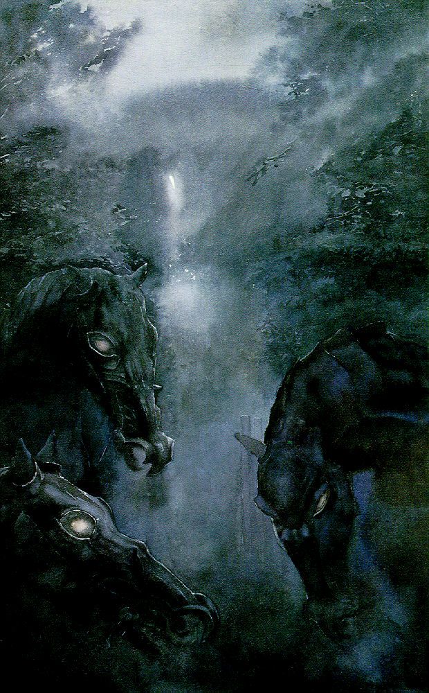 lord of the rings black riders wallpaper